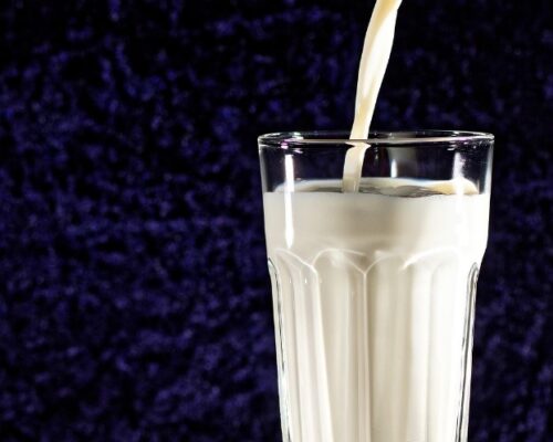 Not Milk, Naveia, Tal da Castanha, Vida Veg e Dona Elza foram os finalistas do Prêmio Beba Plant-Based